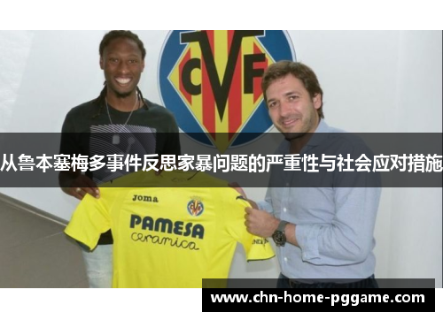 从鲁本塞梅多事件反思家暴问题的严重性与社会应对措施