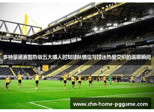 多特蒙德赛前致敬五大感人时刻球队情谊与球迷热爱交织的温暖瞬间