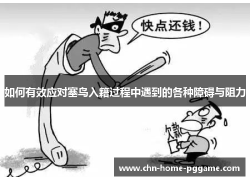 如何有效应对塞鸟入籍过程中遇到的各种障碍与阻力