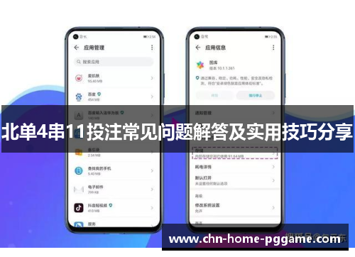 北单4串11投注常见问题解答及实用技巧分享