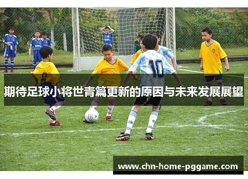 期待足球小将世青篇更新的原因与未来发展展望
