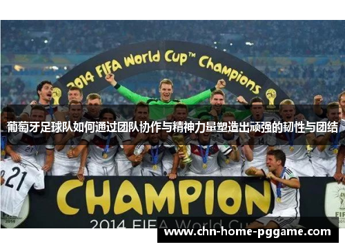 葡萄牙足球队如何通过团队协作与精神力量塑造出顽强的韧性与团结