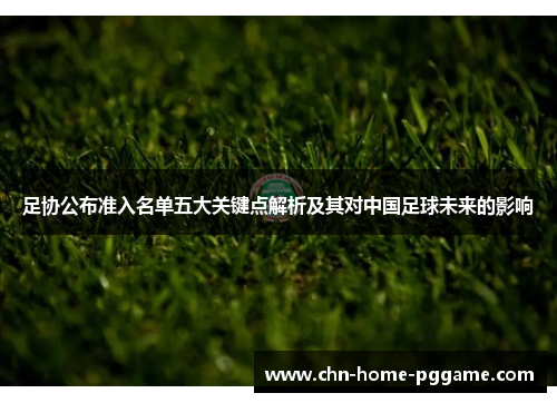 足协公布准入名单五大关键点解析及其对中国足球未来的影响