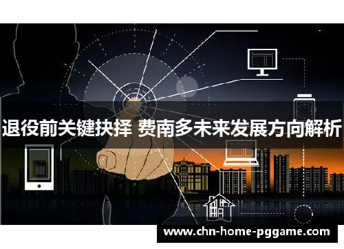 退役前关键抉择 费南多未来发展方向解析