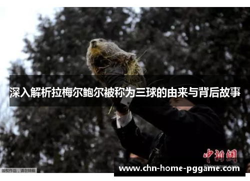 深入解析拉梅尔鲍尔被称为三球的由来与背后故事