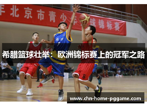 希腊篮球壮举:欧洲锦标赛上的冠军之路 希腊篮球壮举:欧洲锦标赛上的冠军之路