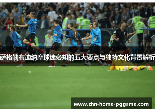 萨格勒布迪纳摩球迷必知的五大要点与独特文化背景解析