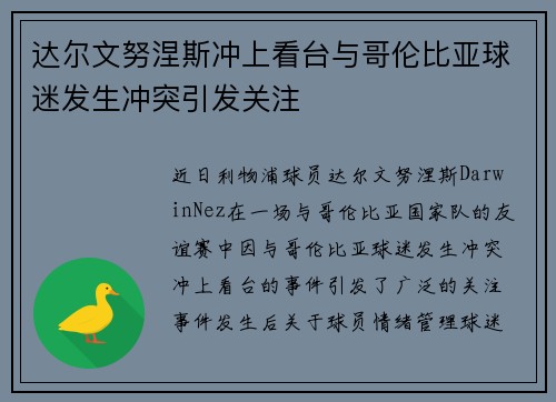 达尔文努涅斯冲上看台与哥伦比亚球迷发生冲突引发关注